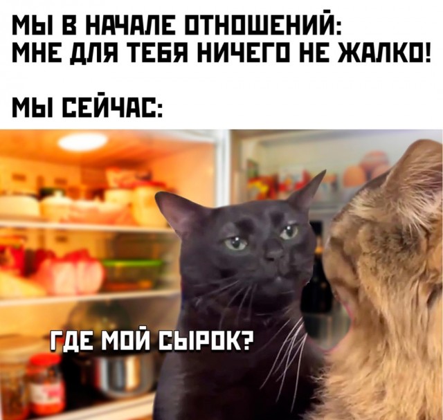 Конец недели – время для улыбок! Готовы к порции позитива? Конец недели – время для улыбок! Готовы к порции позитива? native-yes