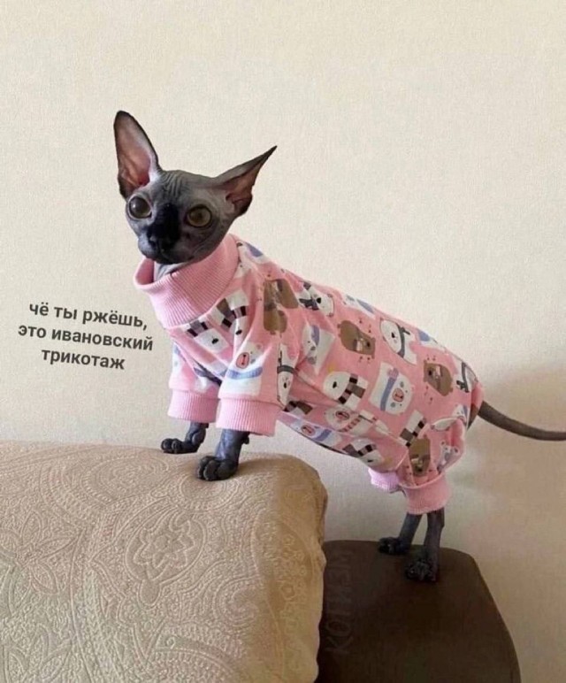 Лучший юмор для старта недели! Лучший юмор для старта недели! native-yes