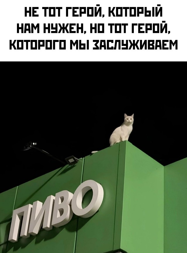 Конец недели – время для улыбок! Готовы к порции позитива? Конец недели – время для улыбок! Готовы к порции позитива? native-yes