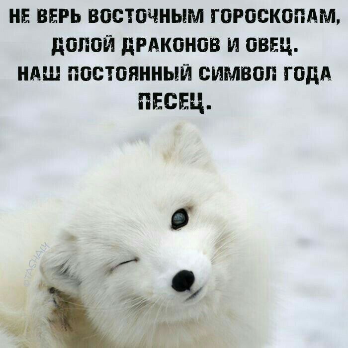 Конец недели – время для улыбок! Готовы к порции позитива? Конец недели – время для улыбок! Готовы к порции позитива? native-yes