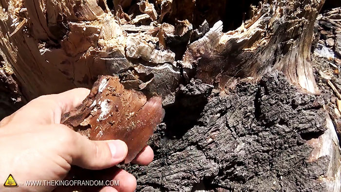 Реально ли разжечь огонь с помощью пакета с водой Реально ли разжечь огонь с помощью пакета с водой native-yes