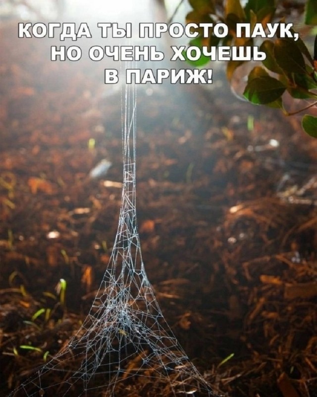 Ура, выходные! Ловите порцию свежих приколов, чтобы настроение было на высоте! native-yes