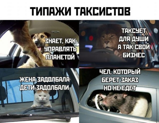 Лучший юмор для старта недели! Лучший юмор для старта недели! native-yes