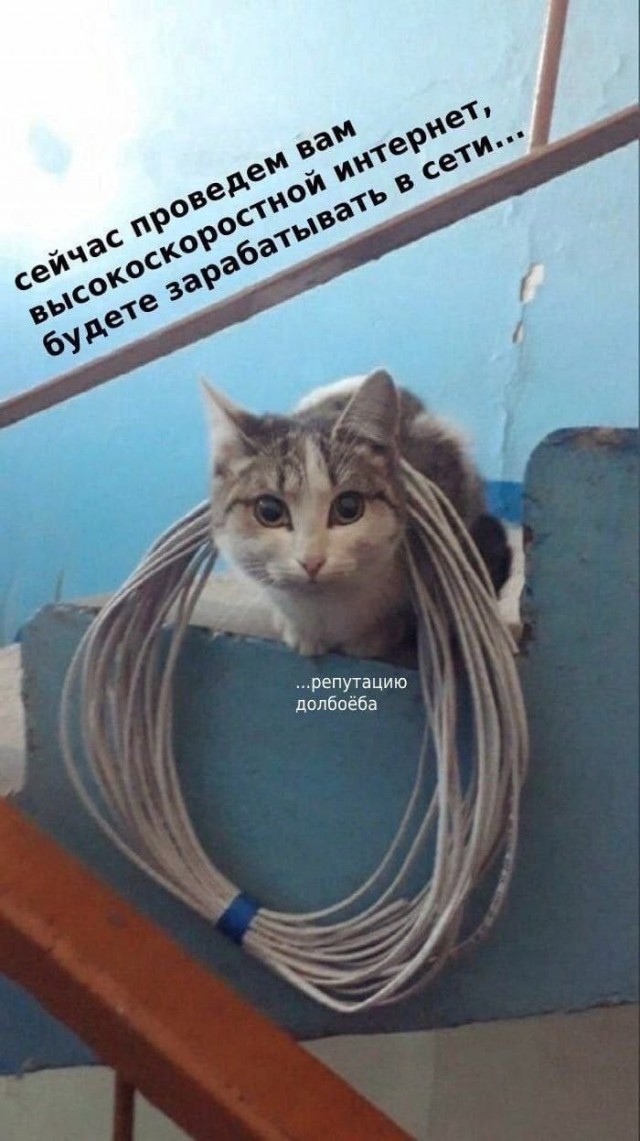 Лучший юмор для старта недели! Лучший юмор для старта недели! native-yes