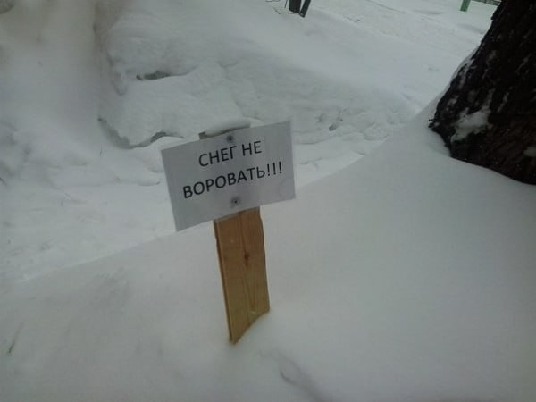 Ура, выходные! Ловите порцию свежих приколов, чтобы настроение было на высоте! native-yes