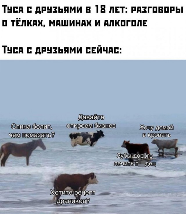 Конец недели – время для улыбок! Готовы к порции позитива? Конец недели – время для улыбок! Готовы к порции позитива? native-yes