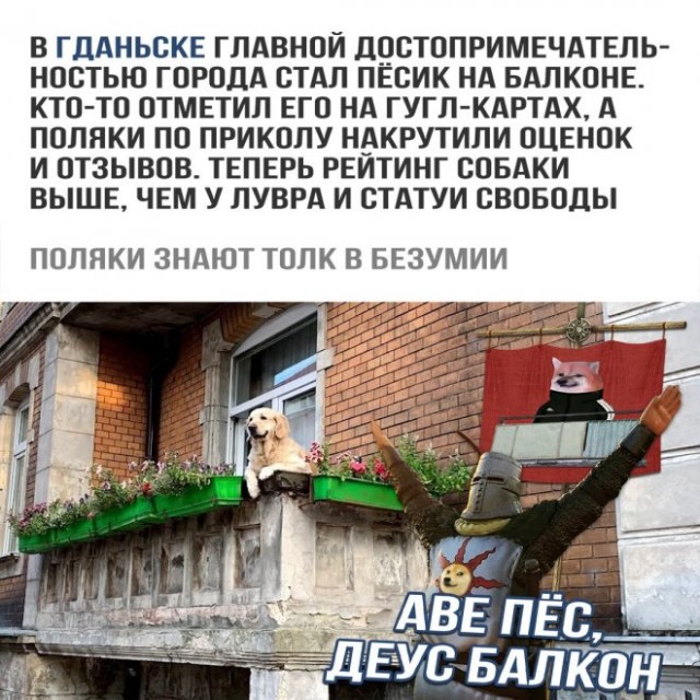 Понедельник? Не беда! Заряжаемся позитивом с новыми мемами и картинками! native-yes