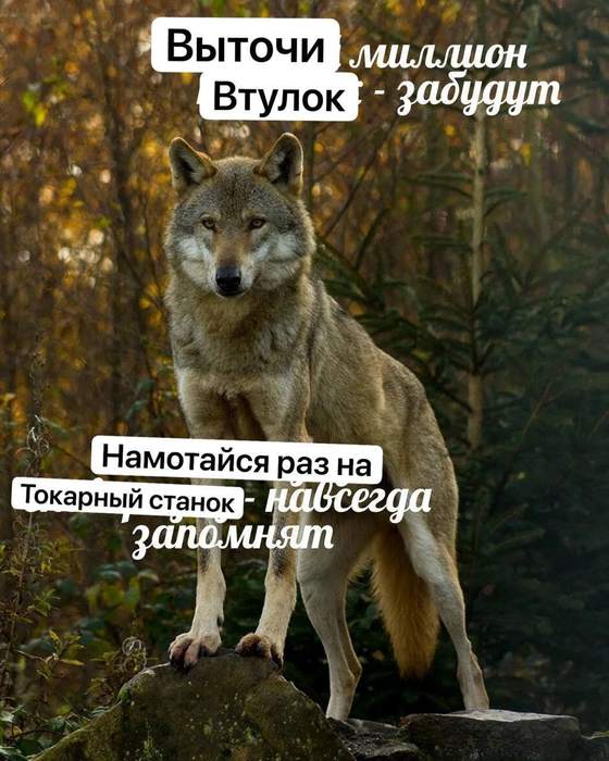 ВНИМАНИЕ, СРЕДА! Срочно поднять настроение! ВНИМАНИЕ, СРЕДА! Срочно поднять настроение! native-yes