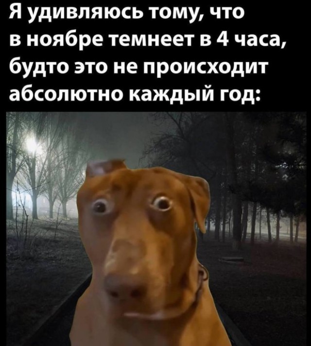 Конец недели – время для улыбок! Готовы к порции позитива? Конец недели – время для улыбок! Готовы к порции позитива? native-yes
