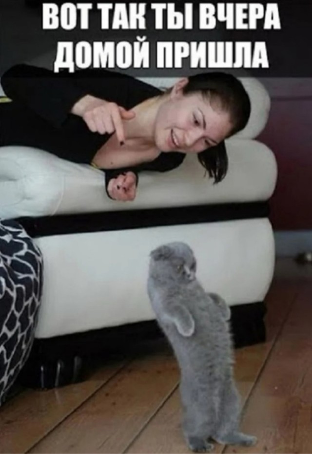 Понедельник? Не беда! Заряжаемся позитивом с новыми мемами и картинками! native-yes