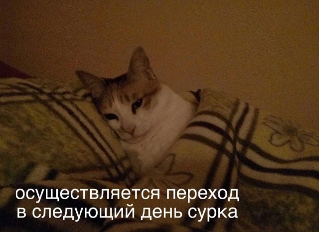 Лучший юмор для старта недели! Лучший юмор для старта недели! native-yes