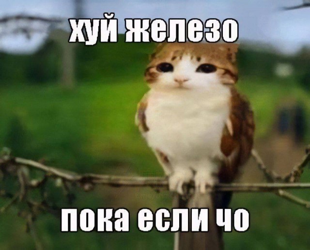 Конец недели – время для улыбок! Готовы к порции позитива? Конец недели – время для улыбок! Готовы к порции позитива? native-yes