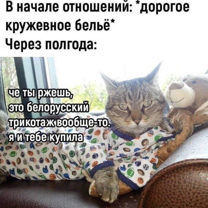 Новый понедельник – новые шутки! Новый понедельник – новые шутки! native-yes