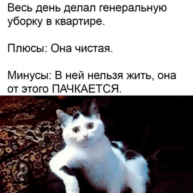 Лучший юмор для старта недели! Лучший юмор для старта недели! native-yes