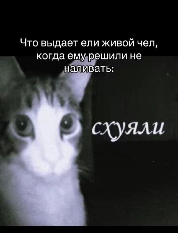 ВНИМАНИЕ, СРЕДА! Срочно поднять настроение! ВНИМАНИЕ, СРЕДА! Срочно поднять настроение! native-yes