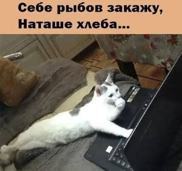 Конец недели – время для улыбок! Готовы к порции позитива? Конец недели – время для улыбок! Готовы к порции позитива? native-yes