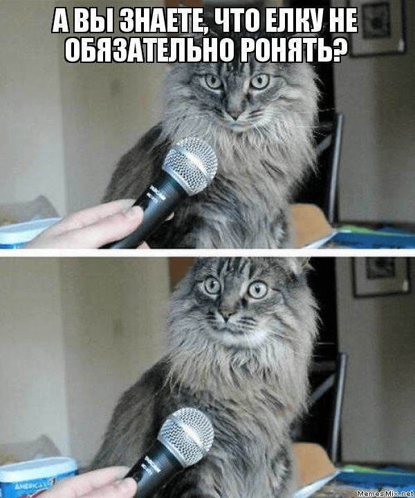 Первый убойный сборник юмора 2026 года уже здесь! native-yes