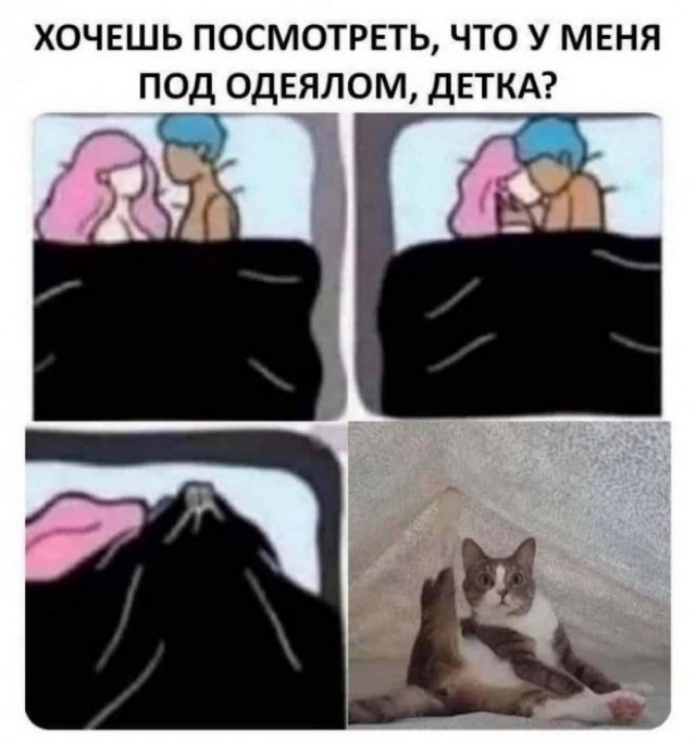 Конец недели – время для улыбок! Готовы к порции позитива? Конец недели – время для улыбок! Готовы к порции позитива? native-yes