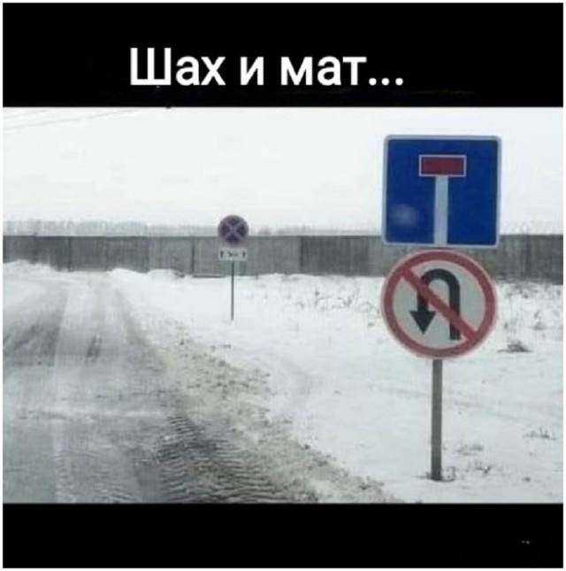 Ура, выходные! Ловите порцию свежих приколов, чтобы настроение было на высоте! native-yes