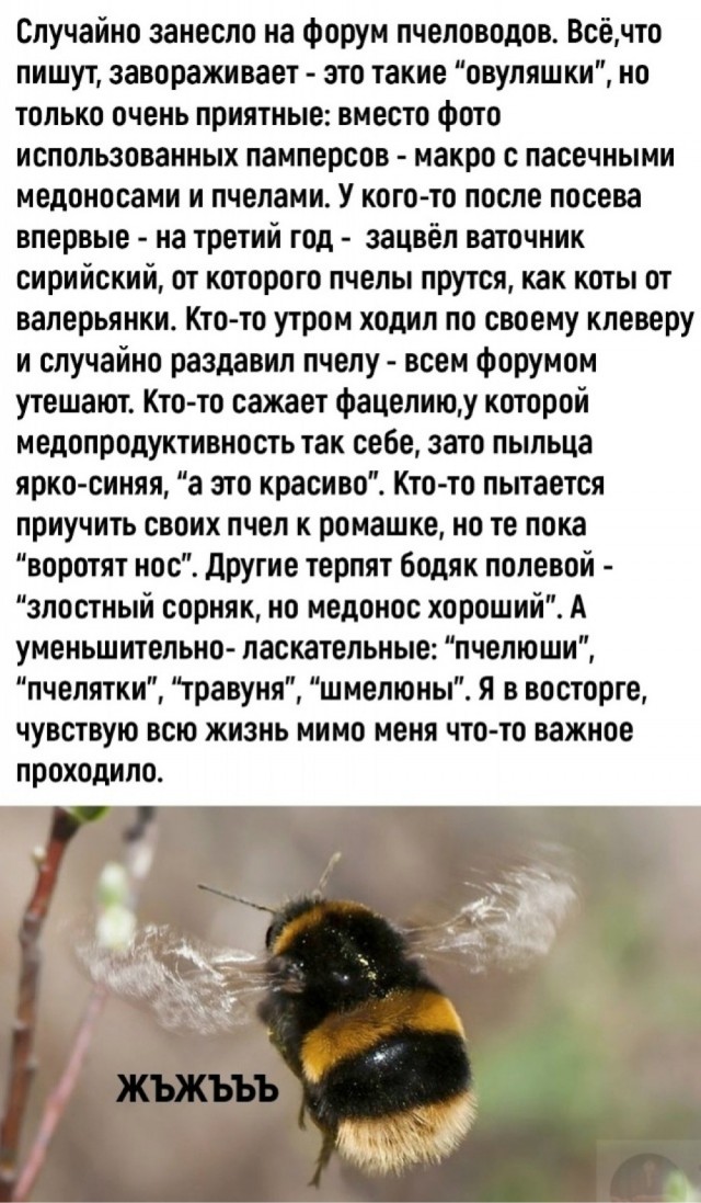 Зимняя хандра? Не, не слышали! Ловите порцию свежих мемов и картинок, чтобы согреться изнутри! Зимняя хандра? Не, не слышали! Ловите порцию свежих мемов и картинок, чтобы согреться изнутри! native-yes