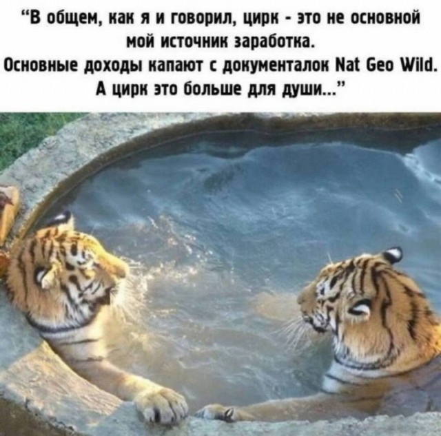 Новый понедельник – новые шутки! Новый понедельник – новые шутки! native-yes