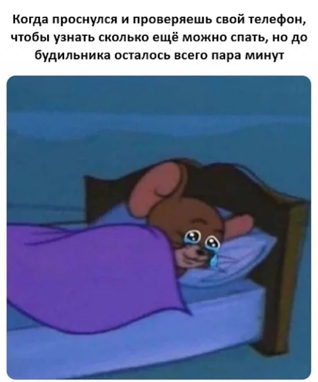 Зимняя хандра? Не, не слышали! Ловите порцию мемов, чтобы улыбка не сходила с лица! native-yes