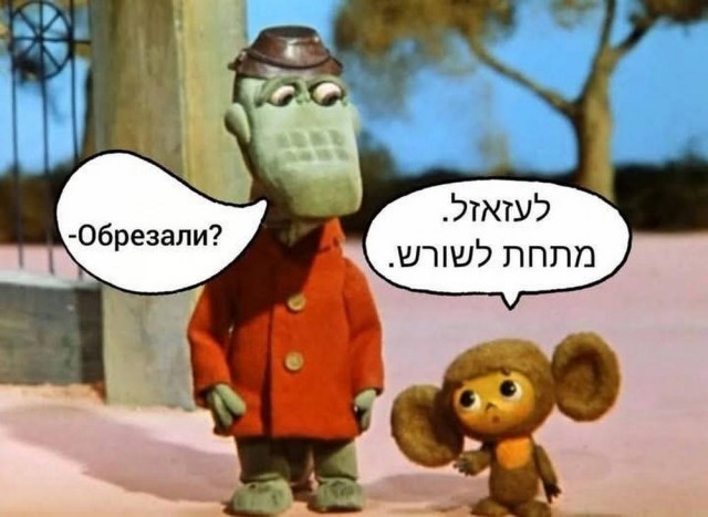 Конец недели – время для улыбок! Готовы к порции позитива? Конец недели – время для улыбок! Готовы к порции позитива? native-yes