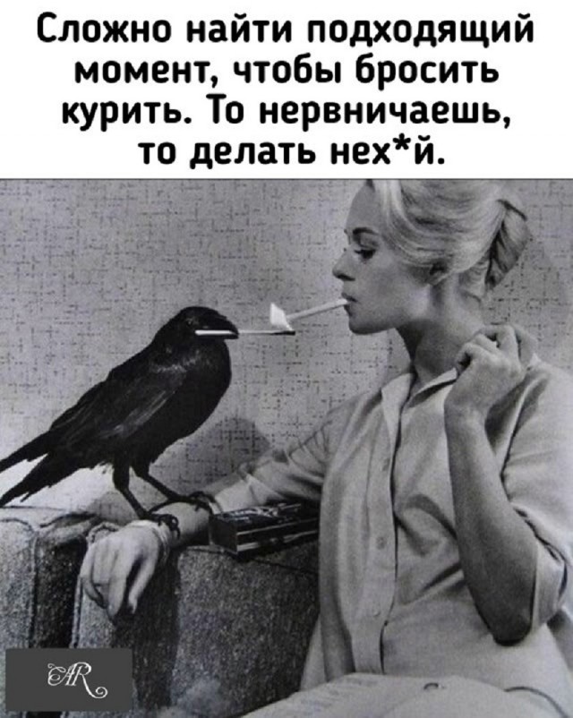 Новый понедельник – новые шутки! Новый понедельник – новые шутки! native-yes