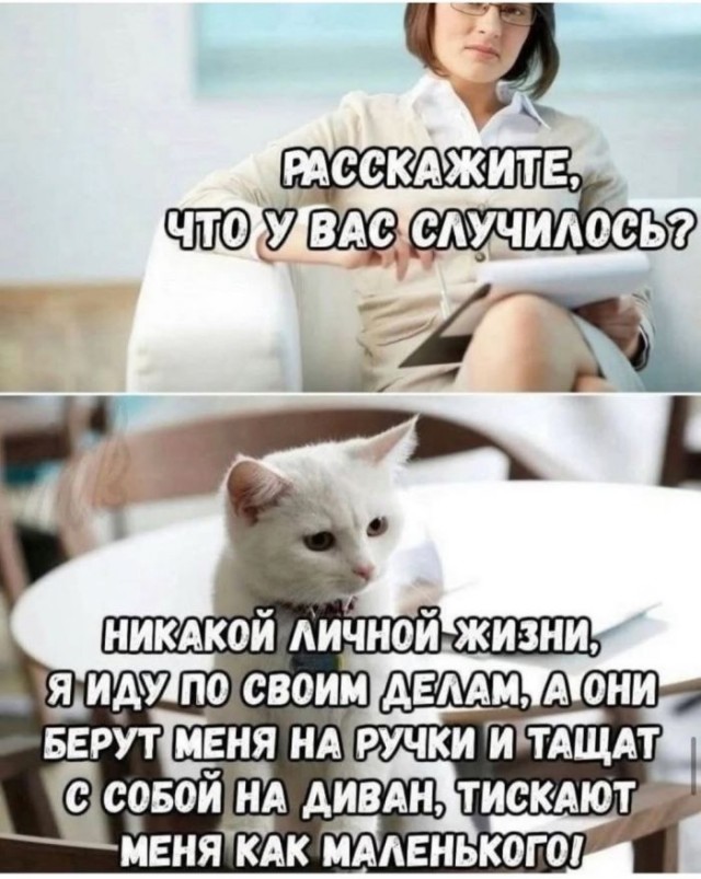 Понедельник? Не беда! Заряжаемся позитивом с новыми мемами и картинками! native-yes