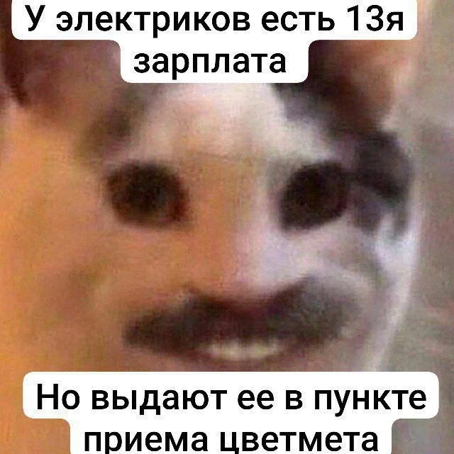 Понедельник с улыбкой: свежие мемы для позитивного старта рабочей недели! native-yes