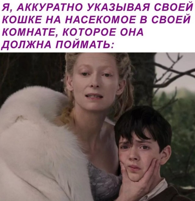 Зимняя хандра? Не, не слышали! Ловите порцию мемов, чтобы улыбка не сходила с лица! native-yes