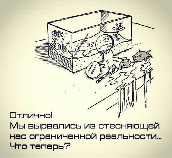 Первый убойный сборник юмора 2026 года уже здесь! native-yes