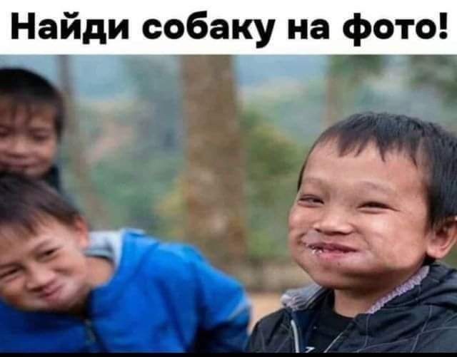 ВНИМАНИЕ, СРЕДА! Срочно поднять настроение! ВНИМАНИЕ, СРЕДА! Срочно поднять настроение! native-yes