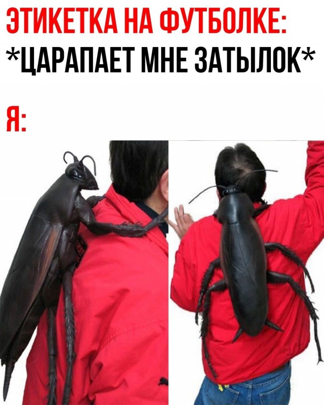 Новый понедельник – новые шутки! Новый понедельник – новые шутки! native-yes