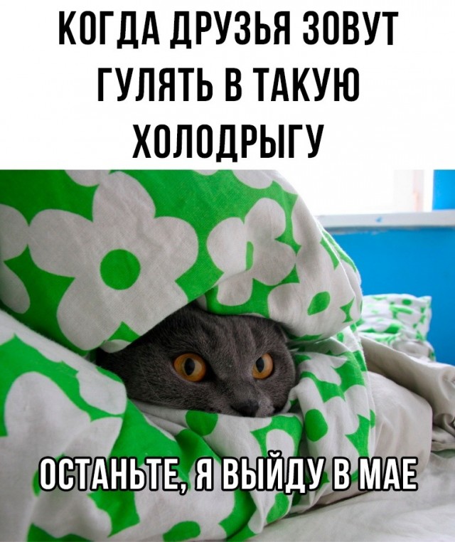 Новый понедельник – новые шутки! Новый понедельник – новые шутки! native-yes