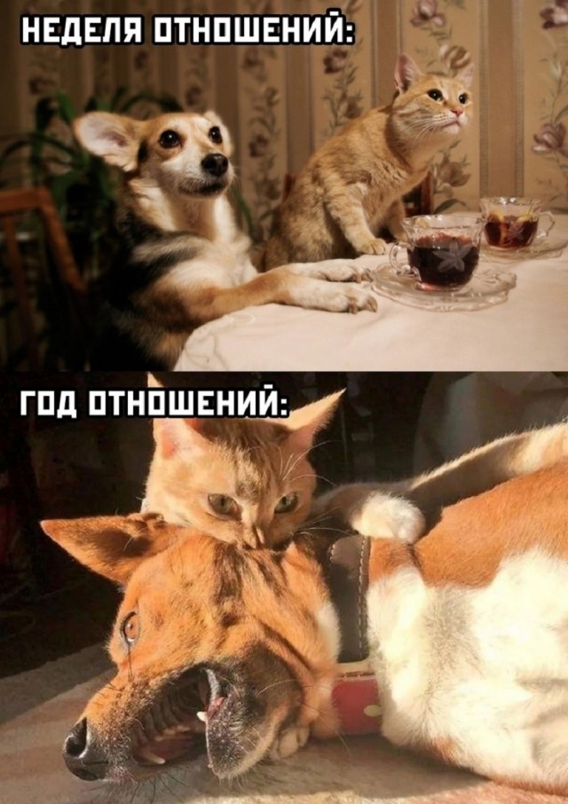 Конец недели – время для улыбок! Готовы к порции позитива? Конец недели – время для улыбок! Готовы к порции позитива? native-yes