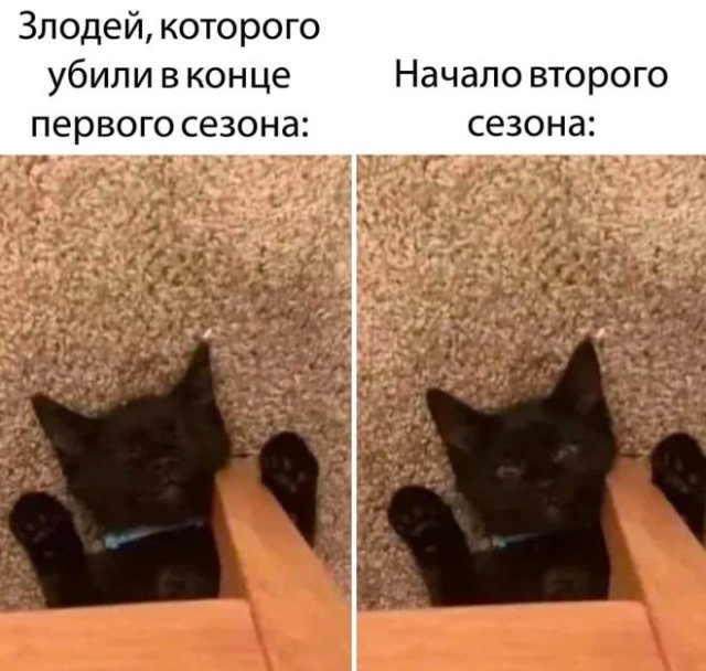 Конец недели – время для улыбок! Готовы к порции позитива? Конец недели – время для улыбок! Готовы к порции позитива? native-yes