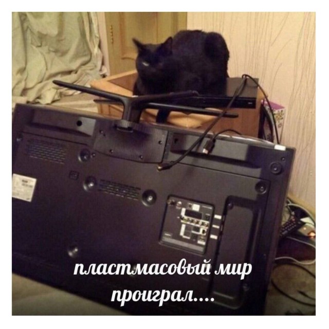 Конец недели – время для улыбок! Готовы к порции позитива? Конец недели – время для улыбок! Готовы к порции позитива? native-yes