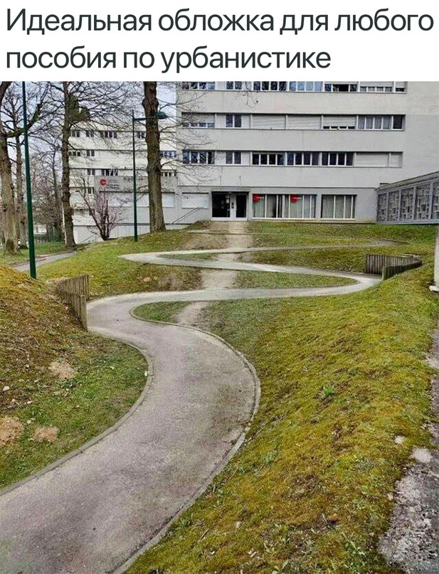 Зимняя хандра? Не, не слышали! Ловите порцию мемов, чтобы улыбка не сходила с лица! native-yes