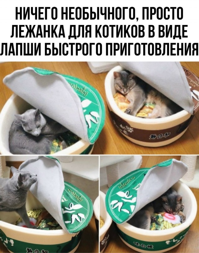 Новый понедельник – новые шутки! Новый понедельник – новые шутки! native-yes