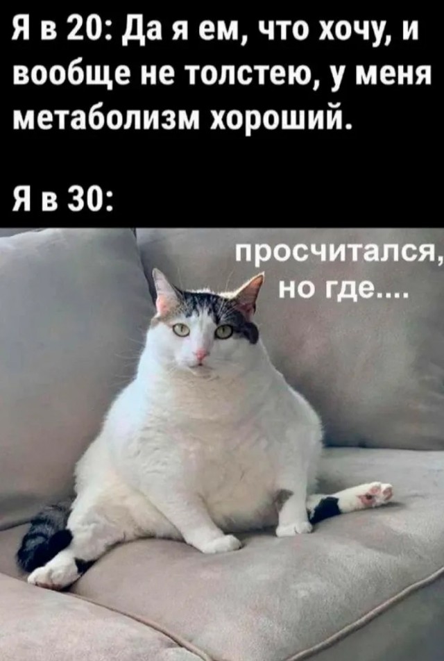 Лучший юмор для старта недели! Лучший юмор для старта недели! native-yes