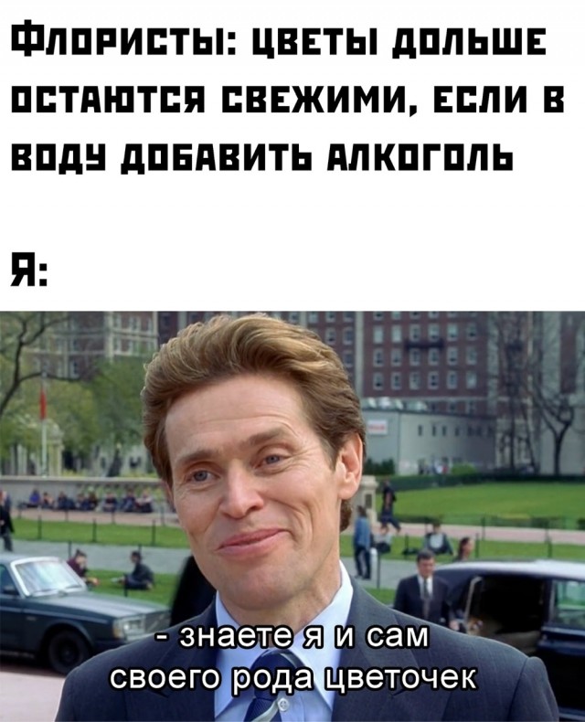 Конец недели – время для улыбок! Готовы к порции позитива? Конец недели – время для улыбок! Готовы к порции позитива? native-yes