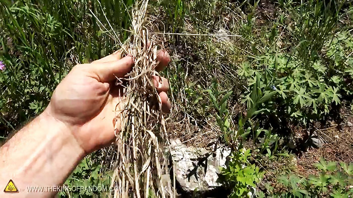 Реально ли разжечь огонь с помощью пакета с водой Реально ли разжечь огонь с помощью пакета с водой native-yes