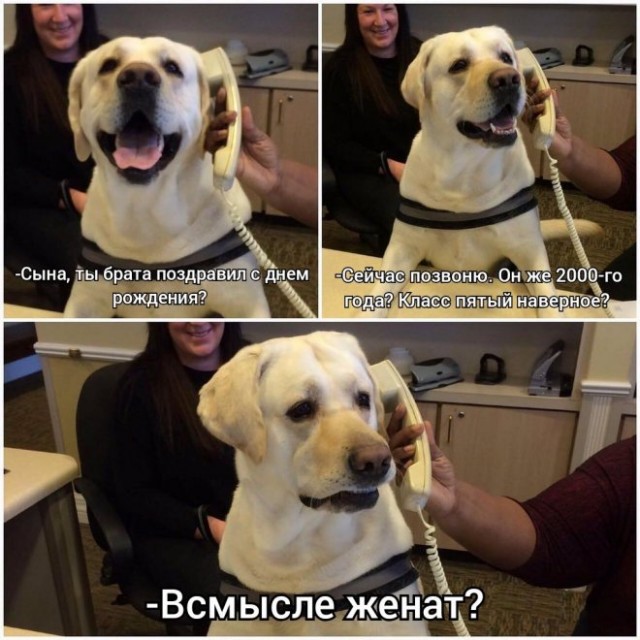 Зимняя хандра? Не, не слышали! Ловите порцию свежих мемов и картинок, чтобы согреться изнутри! Зимняя хандра? Не, не слышали! Ловите порцию свежих мемов и картинок, чтобы согреться изнутри! native-yes