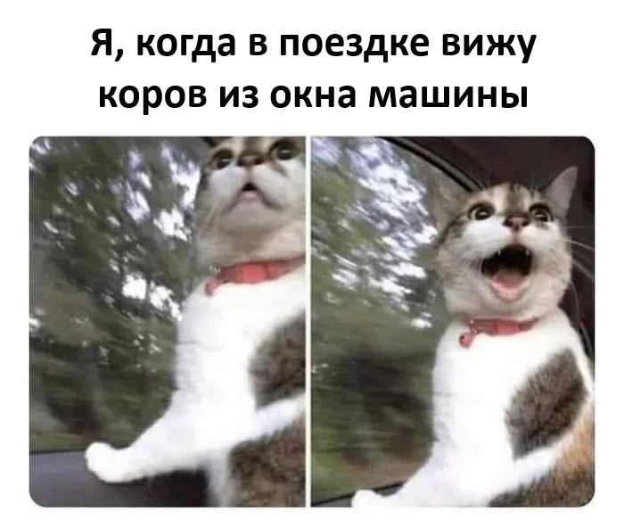 Выходные на позитиве!