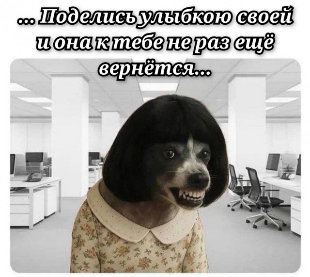 Ура, выходные! Ловите порцию свежих приколов, чтобы настроение было на высоте! native-yes