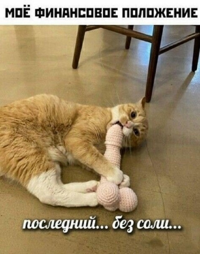 Ура, выходные! Ловите порцию свежих приколов, чтобы настроение было на высоте! native-yes