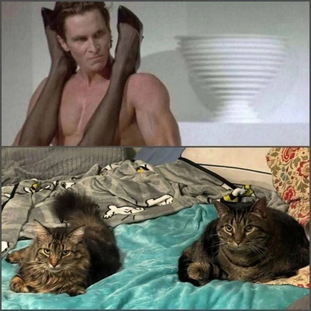 ВНИМАНИЕ, СРЕДА! Срочно поднять настроение! ВНИМАНИЕ, СРЕДА! Срочно поднять настроение! native-yes