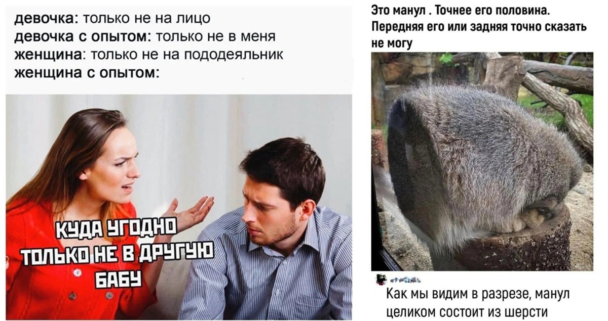 Свежий сборник мемов и комментариев: ваш заряд позитива из соцсетей!