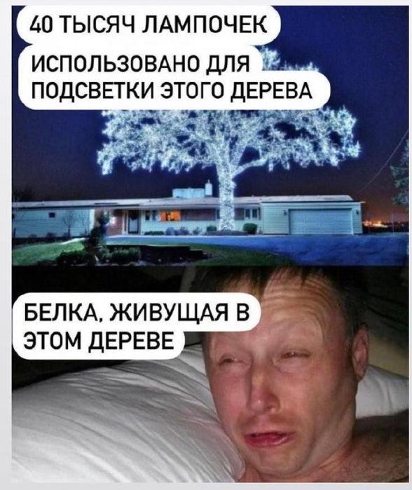 Понедельник? Не беда! Заряжаемся позитивом с новыми мемами и картинками! native-yes